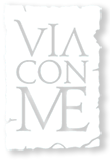 Viaconme Agencia de Viajes a Italia desde España